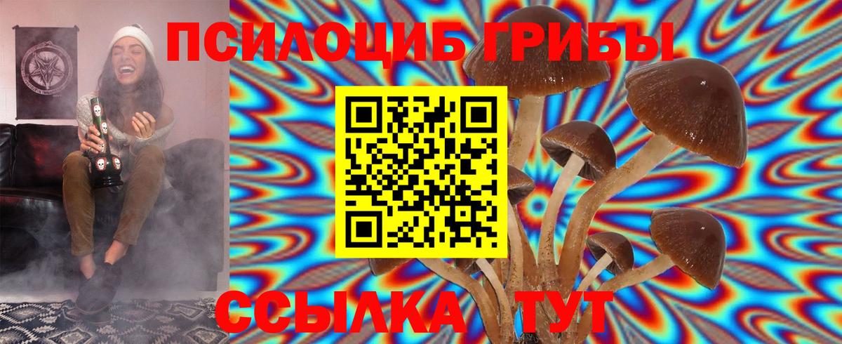 Курчалой  Галлюциногенные грибы ЛСД  Вход с VPN  где купить наркоту  Псилоцибиновые грибы Cubensis 
