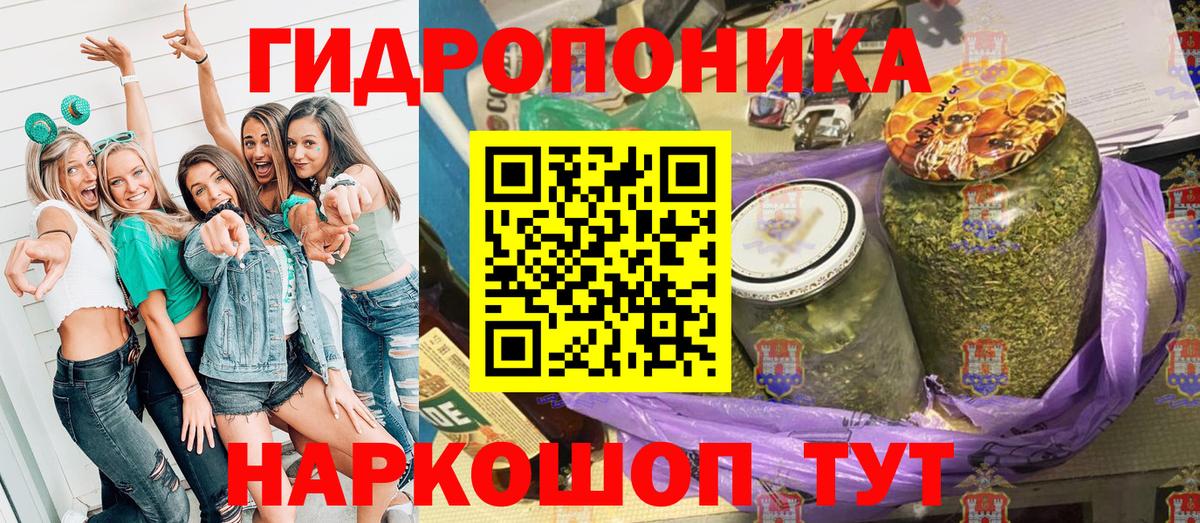 Каннабис White Widow  Вход с VPN  Канабис сатива  Курчалой 